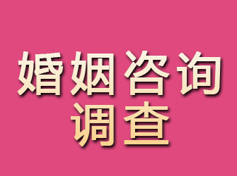 淳安婚姻咨询调查