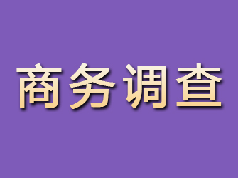 淳安商务调查